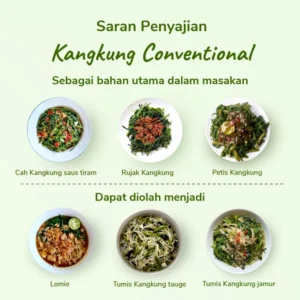 Kangkung - Image 2