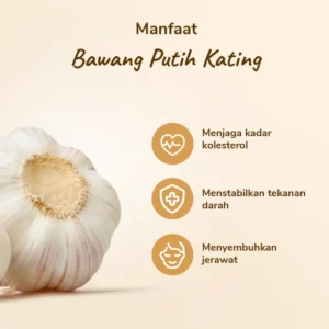 Bawang Putih Kating - Image 3