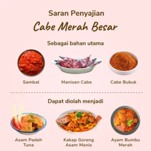 Cabe Besar - Image 2