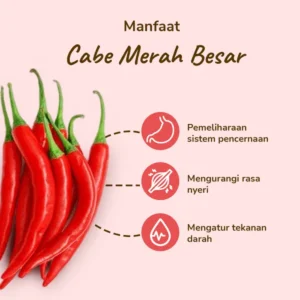 Cabe Besar - Image 3