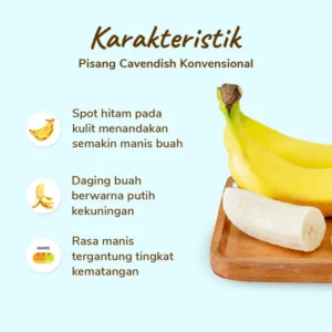 Pisang Cavendish (ikat) - Image 2