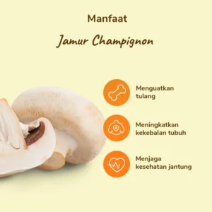 Jamur Champignon - Image 3