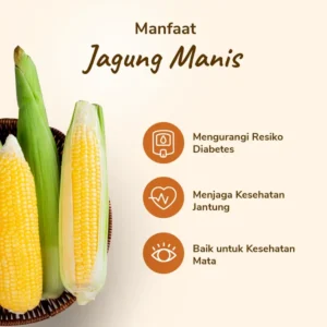 Jagung Manis (pack) - Image 3